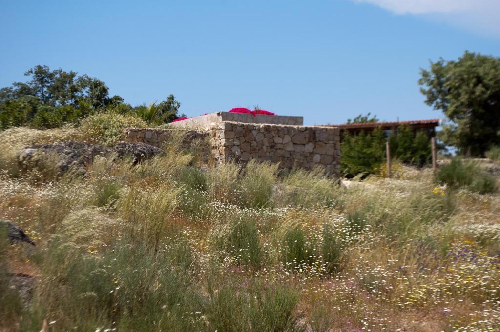 Quinta Serra De Sao Mamede Castelo de Vide Exterior photo