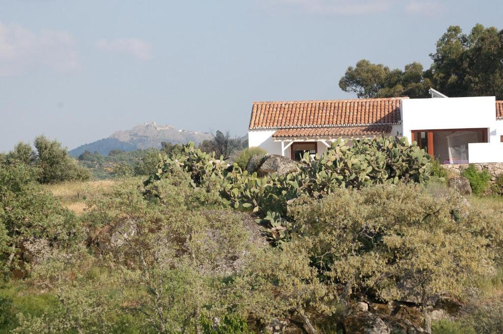 Quinta Serra De Sao Mamede Castelo de Vide Room photo